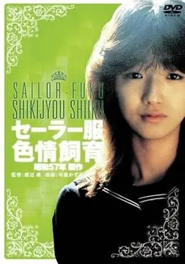账本里的秘密